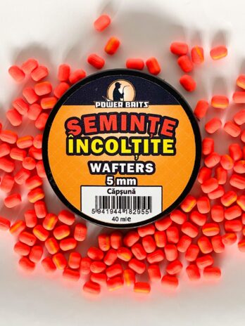 Wafter Seminte Incoltite Capsuna 5mm